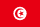 TN flag